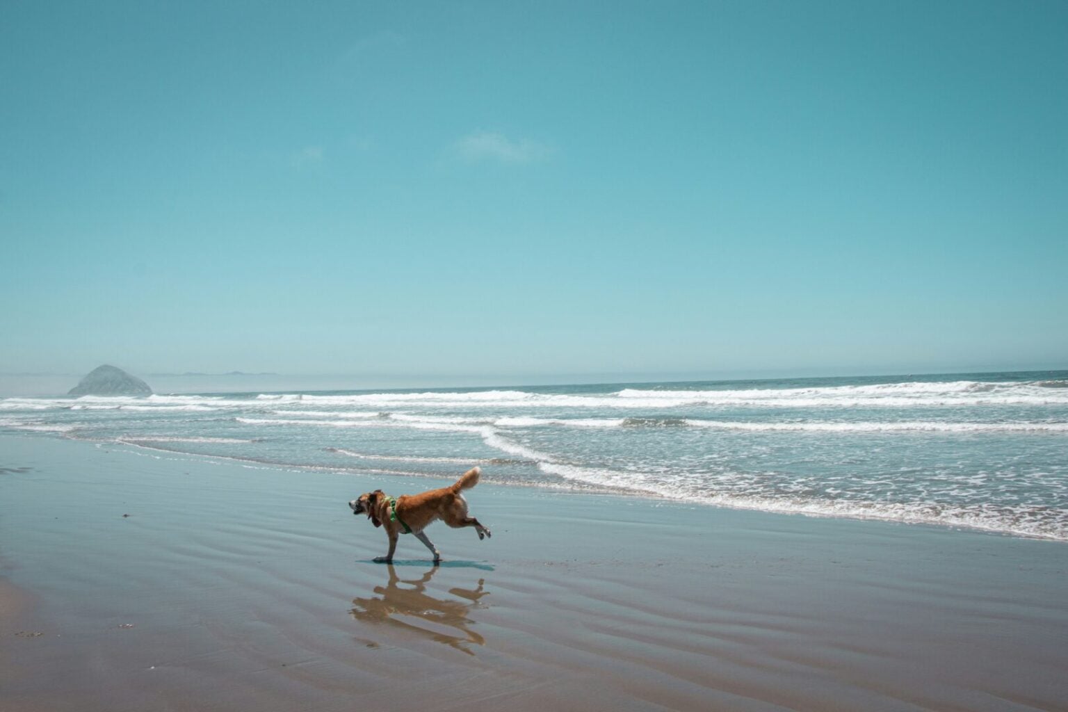 maggie-riordan-JchDHwIKJxs-unsplash